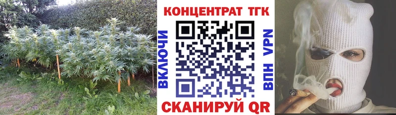 сколько стоит  Куртамыш  Дистиллят ТГК гашишное масло 