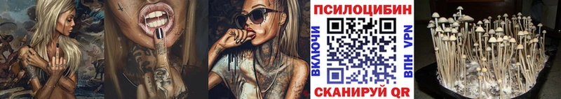 Галлюциногенные грибы Psilocybe  Куртамыш 